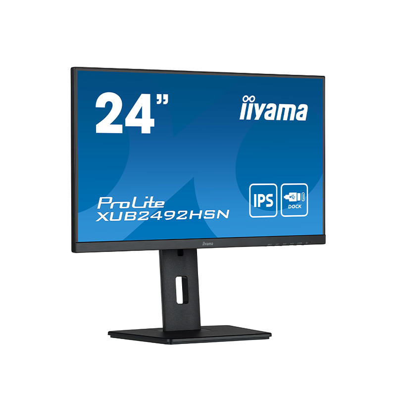 Écran PC IIYAMA XUB2492HSN-B5