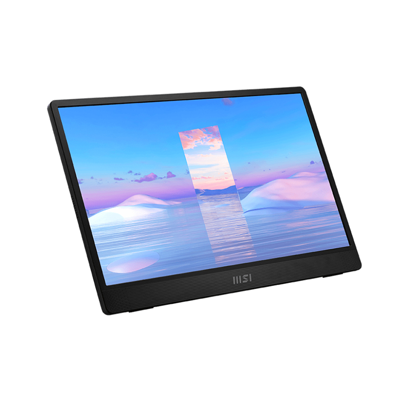 Écran nomade PC MSI PRO MP161
