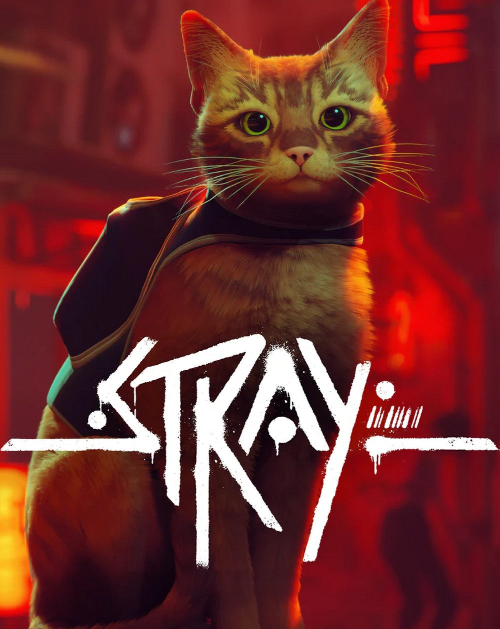 Stray
