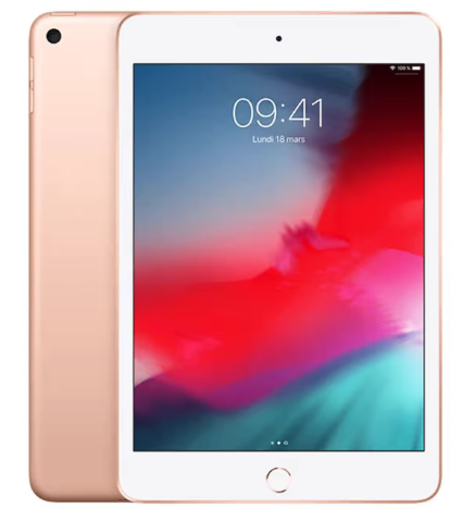 iPad mini 5 (2019) – WiFi 64 Go – Or
